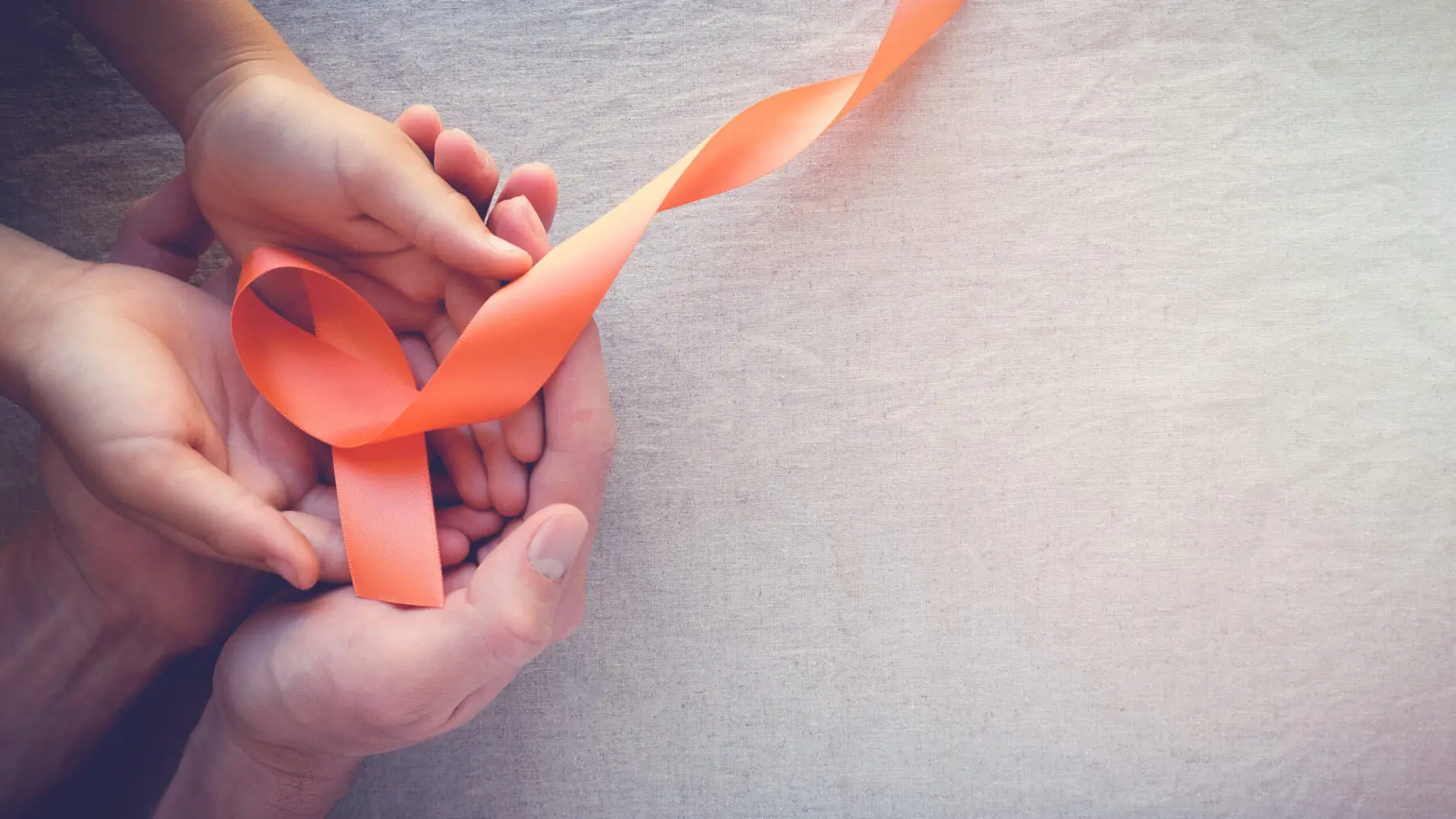 Adult and child hands holding orange Ribbons, Leukemia cancer awareness and Multiple sclerosis awareness, panoramic banner